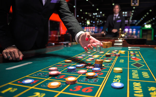 How to Master Live Betting During IPL Matches on ReddyBook